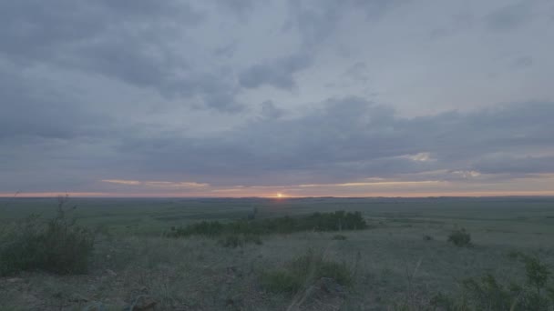 Зелене поле літній пейзаж, часовий пояс. Хмари та блакитне небо — стокове відео