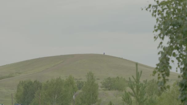 Zöld mező nyári táj, timelapse. Felhők és a kék ég mező — Stock videók