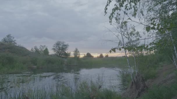 Campo verde paisaje de verano, timelapse. Nubes y campo de cielo azul — Vídeo de stock