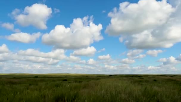 Campo verde paisaje de verano, timelapse. Nubes y campo de cielo azul — Vídeos de Stock