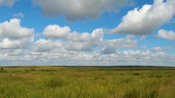 Campo verde paisaje de verano, timelapse. Nubes y campo de cielo azul — Vídeos de Stock