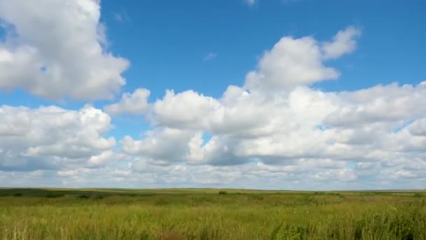 Grüne Wiese Sommerlandschaft, Zeitraffer. Wolken und blauer Himmel — Stockvideo