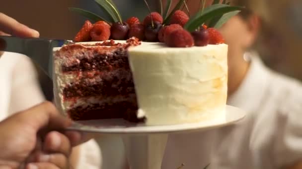 Extreme close-up mid section of a newlywed cutting wedding cake. The charming brides cutting a wedding cake — Stock Video