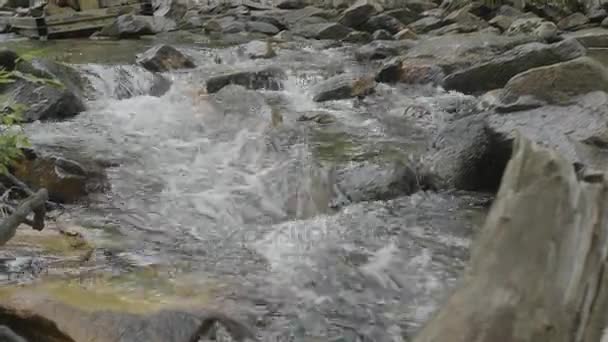 Víz áramlását át a sziklákat, nagyon sima. Gyors hegyi folyó ősszel. Colorfull fa háttér. Folyó mélyen a hegyi erdő. Természet összetétele. — Stock videók