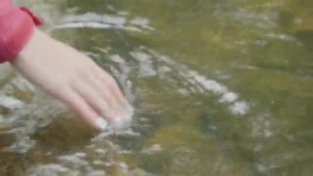 Молода жінка торкається води річки в лісі. Молодий турист торкається рук річки — стокове відео