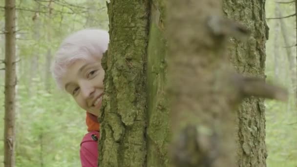 Joven mujer sonriente atractiva mirando detrás del árbol. Chica rubia comprobar y mira desde detrás de un árbol En el bosque de otoño — Vídeo de stock