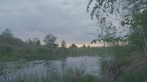 Mañana brumosa en el pantano al atardecer en primavera. Pantano al atardecer — Vídeo de stock