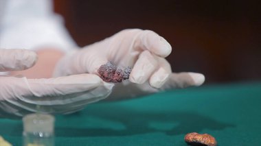 Bilim adamı ya da taş veya mineraller elinde tutan arkeolog. Arkeoloji elinde örnekleri grubu