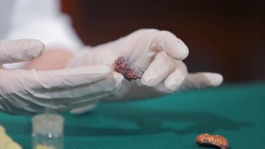 Bilim adamı ya da taş veya mineraller elinde tutan arkeolog. Arkeoloji elinde örnekleri grubu