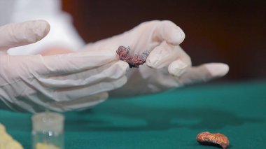 Bilim adamı ya da taş veya mineraller elinde tutan arkeolog. Arkeoloji elinde örnekleri grubu