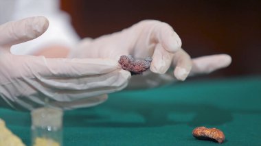 Bilim adamı ya da taş veya mineraller elinde tutan arkeolog. Arkeoloji elinde örnekleri grubu