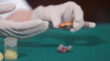 Bilim adamı ya da taş veya mineraller elinde tutan arkeolog. Arkeoloji elinde örnekleri grubu