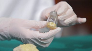 Bilim adamı ya da taş veya mineraller elinde tutan arkeolog. Arkeoloji elinde örnekleri grubu