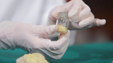 Bilim adamı ya da taş veya mineraller elinde tutan arkeolog. Arkeoloji elinde örnekleri grubu