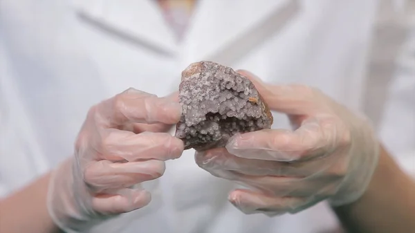 Bright grey ruby crystal ore in hands with gloves. Crystallization is the natural or artificial process by which a solid forms in laboratory.