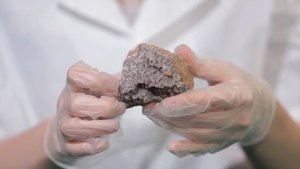 Bright grey ruby crystal ore in hands with gloves. Crystallization is the natural or artificial process by which a solid forms in laboratory.