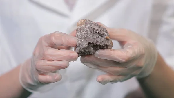 Bright grey ruby crystal ore in hands with gloves. Crystallization is the natural or artificial process by which a solid forms in laboratory.