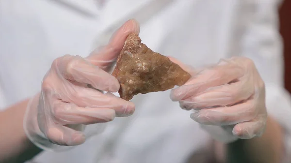 Ljust grå ruby crystal malm i händerna med handskar. Kristallisering är en naturlig eller konstgjord process som bildar en solid i laboratorium. — Stockfoto