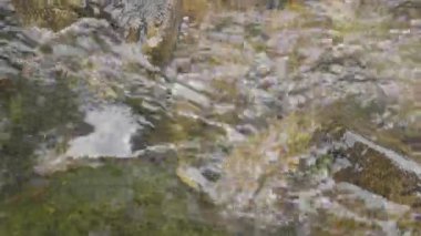 Nehir su sıçrama. Nehir su kabarcıkları ile kapatın. Nehir yakın çekim yüzeyinde yüzen su kabarcıkları