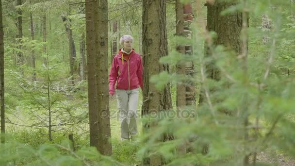 Schönes Mädchen, das im Wald spazieren geht. junge Frau geht im Wald spazieren — Stockvideo