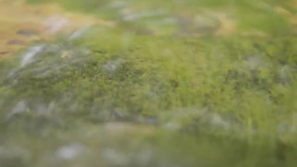 Water in river close up. Pebble stones in the river water close up view — Stock Video