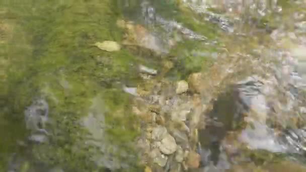 Una spruzzata d'acqua nel fiume. Acqua nel fiume da vicino con bolle. Bolle d'acqua galleggianti sulla superficie del fiume primo piano — Video Stock