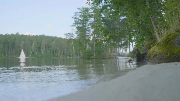 Beyaz tekne arka plan ile gölün kıyısında. Satır tekne yüzen, gökyüzü ve arka plan mükemmel yansıması ile gölde açıkta demirli. Yelkenli tekne göl kenarında