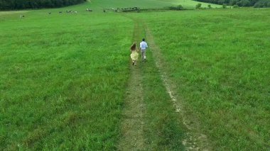 Uçan nerede aşıklar yürümek yeşil alanın üzerinde. Kadın ve adam çalıştırdığı kenar boşluğu hava anketi. Alan. Sahada koşmak aşıkların hava anket