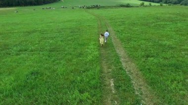 Uçan nerede aşıklar yürümek yeşil alanın üzerinde. Kadın ve adam çalıştırdığı kenar boşluğu hava anketi. Alan. Sahada koşmak aşıkların hava anket