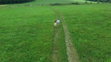 Uçan nerede aşıklar yürümek yeşil alanın üzerinde. Kadın ve adam çalıştırdığı kenar boşluğu hava anketi. Alan. Sahada koşmak aşıkların hava anket