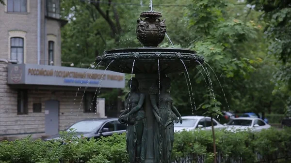 Fontaine de la cour. Cour avec fontaine dans une ville du nord de l'Europe. fontaine à eau. Belle fontaine fondamentale dans un jardin verdoyant. Cygne nageant dans une fontaine dans la cour. Eau — Photo
