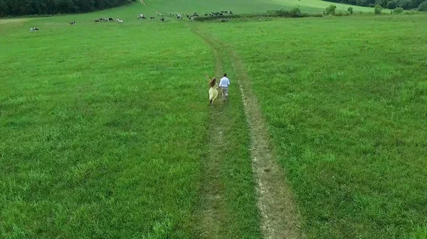 Uçan nerede aşıklar yürümek yeşil alanın üzerinde. Kadın ve adam çalıştırdığı kenar boşluğu hava anketi. Alan. Sahada koşmak aşıkların hava anket