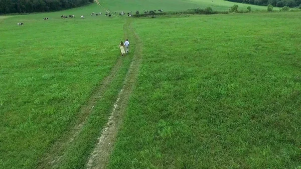 Uçan nerede aşıklar yürümek yeşil alanın üzerinde. Kadın ve adam çalıştırdığı kenar boşluğu hava anketi. Alan. Sahada koşmak aşıkların hava anket