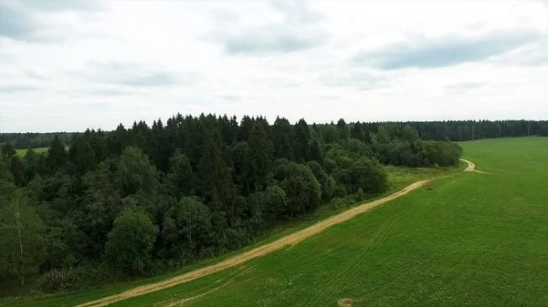 Luftaufnahme der grünen Wiese und des Sees. Überfliegen des Feldes mit grünem Gras und kleinem See. Luftaufnahme von Wäldern in der Nähe des Sees und des Feldes. Ackerland von oben — Stockfoto