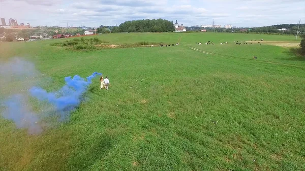 Aerial survey of couple walk on the field with colored smoke in hands. Flying over man and woman run through the field using colored smoke.Lovers running through the field with red and pink smoke