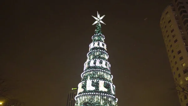 Gyönyörű karácsonyfa izzó a Park közepén áll. Egy kültéri Christmas Tree — Stock Fotó