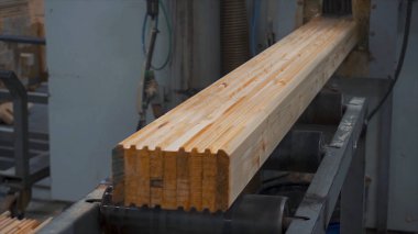 İnşaat ahşap kulübe. Çam barlar bir köşe aracı açık closeup yardımıyla ölçülür. Bitki inşaat ahşap bar. Ahşap çubukların bağ. Bağ için yapıştırıcı uygulamak