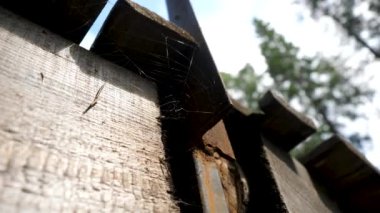 Terk edilmiş evde eski örümcek ağları. Net çatı altında örümcek. Örümcek ağları çatısı altında