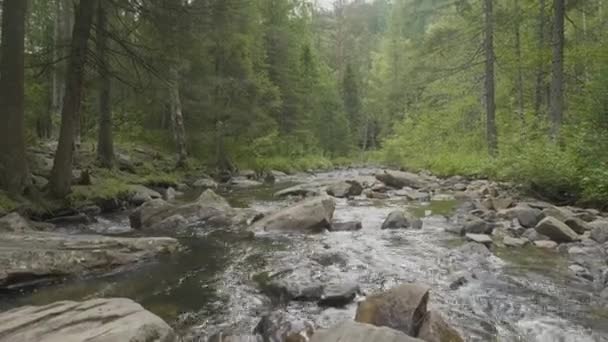 Fiume di montagna in autunno. Sulla riva rocciosa. Fiume che scorre attraverso le Montagne Rocciose — Video Stock