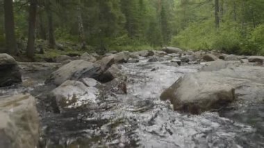 Sonbahar zaman dağ nehir. Kayalık sahil. Rocky Dağları akan nehir
