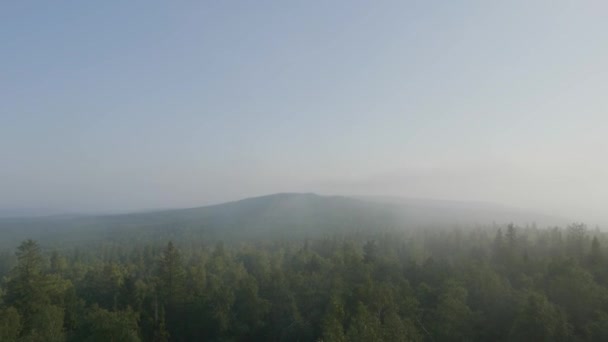 Вид с высоты птичьего полета на живописный закат над лесными холмами. Летний горный пейзаж. Туристические палатки возле леса — стоковое видео