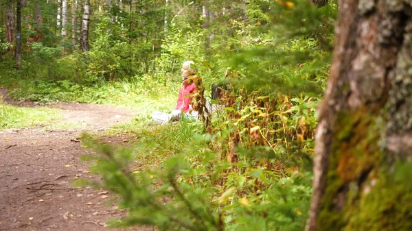 Vacker ung kvinna sitter i en höst park. Ung kvinna sitter i skogen — Stockfoto