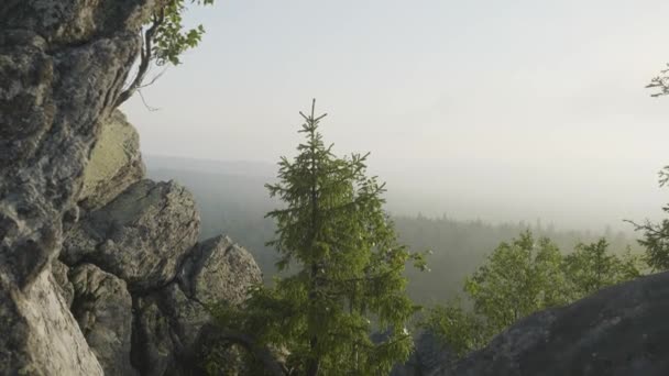 Increíble vista de la naturaleza del bosque de montaña verde y el árbol solitario que crece en una roca con el cielo como fondo. Perspectiva de paisaje natural exterior. Vista desde las rocas del bosque — Vídeos de Stock