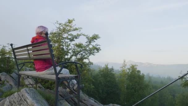 Achteraanzicht van eenzame jonge blonde vrouw zittend op een bankje in het park. meisje zit alleen op een bankje en kijk naar de natuur landschap — Stockvideo