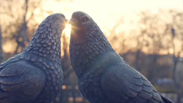Paar weiße Tauben aus Bronze und Sonnenhintergrund. Figuren Tauben aus Metall. zwei Taubenfiguren wie ein Denkmal der Liebe. das Denkmal der Liebe aus Bronze — Stockfoto