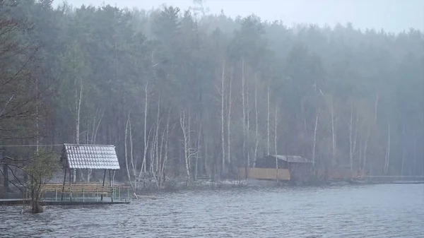 Pier op het meer, de bos lake shore regen en de sneeuw. Het spiegelend oppervlak van het meer, het bos is bedekt met de eerste sneeuw. weerspiegeling in het water, een prachtig berglandschap. boom gevallen in — Stockfoto