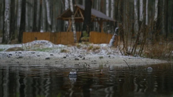 Old wooden dock covered by first snow on a dull and gray but calm day. Pier at the lake, forest lake shore rain and snow. The mirror surface of the lake, the forest is covered with the first snow