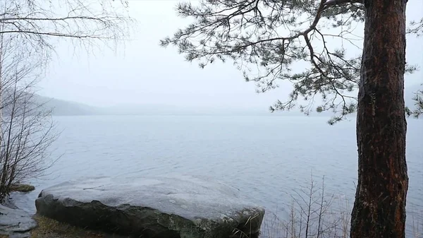 Pier op het meer, de bos lake shore regen en de sneeuw. Het spiegelend oppervlak van het meer, het bos is bedekt met de eerste sneeuw. weerspiegeling in het water, een prachtig berglandschap. boom gevallen in — Stockfoto