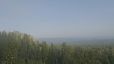 Dağ doruklarına dağ Orman ağaçları görüntüleyin. Dağlık arazi ve orman sis. Güzel orman ve dağ
