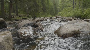 Sonbahar zaman dağ nehir. Kayalık sahil. Rocky Dağları akan nehir